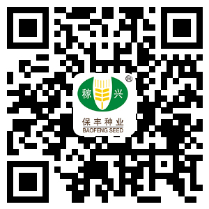 江苏保丰集团公司